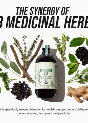 10 Probiotic Blend 3-in-1 with Prebiotic