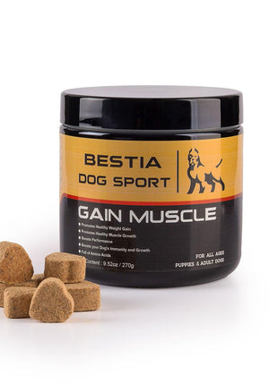 BDS Gain Muscle Dog Food Supplement