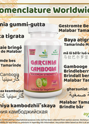 Garcinia Cambogia |Healthy Weight Support - Vegan, Gluten Free, Non-GMO, 60 Capsules