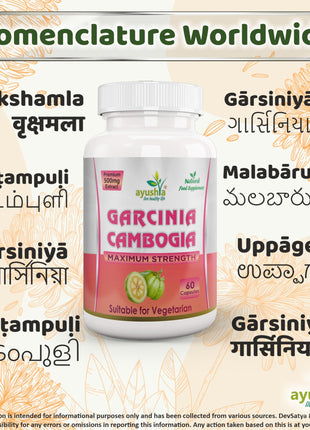 Garcinia Cambogia |Healthy Weight Support - Vegan, Gluten Free, Non-GMO, 60 Capsules