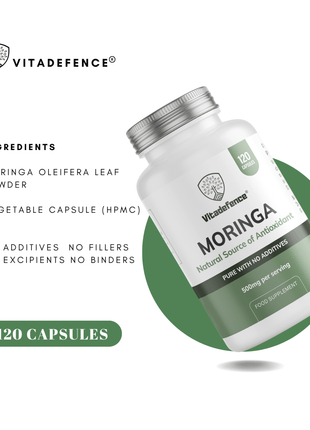 Moringa Oleifera | 500 mg Vegan Capsules – 120 Capsules