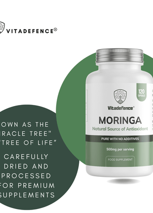 Moringa Oleifera | 500 mg Vegan Capsules – 120 Capsules