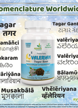 Ayushya Valerian Sleep Support |Vegan, Gluten Free, Non-GMO - 60 Capsules