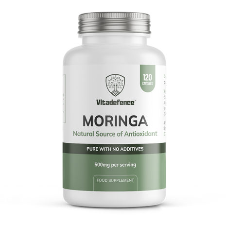 Moringa Oleifera | 500 mg Vegan Capsules – 120 Capsules